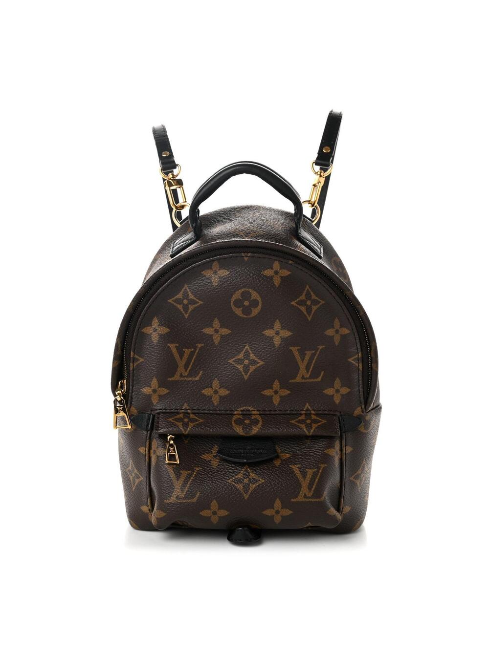 Louis Vuitton Palm Springs Backpack #357172L13B